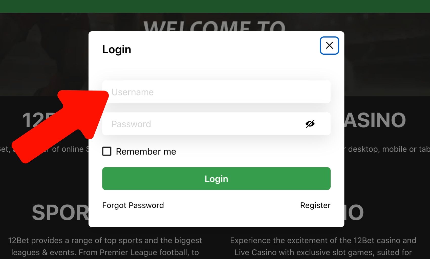 12Bet India Enter your username
